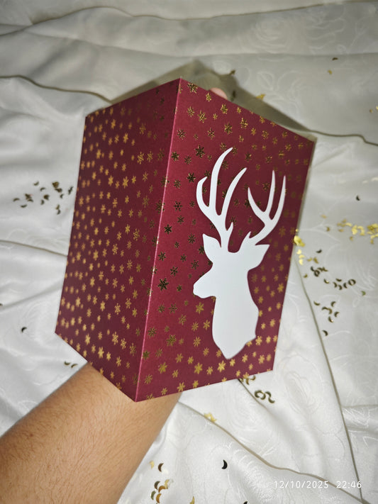 Lot 10 cartes voeux NOËL